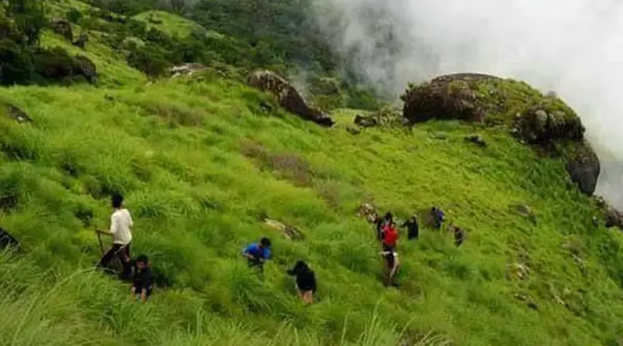 Trekking In Kerala